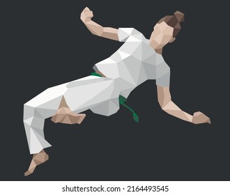 Woman does jumping kick.
Capoeira girl does armada com martelo. Low poly design vector illustration icon