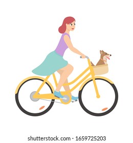 woman with dog in basket on bicycle. Isolated vector illustration