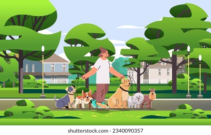 woman dog handler walks with pets in park best friends domestic animals walking service volunteering pet care concept