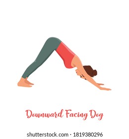 Woman doing Adho Mukha Schwanasana or Downward-facing dog Pose. Hatha yoga. Demonstrating exercise during gymnastics training. Flat vector illustration isolated on white background