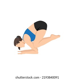 Woman doing Baby Crow Pose. Beautiful girl practice Bala Kakasana. Flat vector illustration isolated on white background