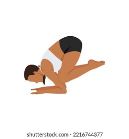 Woman doing Baby Crow Pose. Beautiful girl practice Bala Kakasana. Flat vector illustration isolated on white background