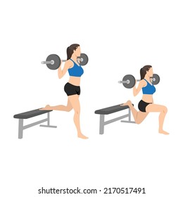 Woman doing Barbell bulgarian split squat exercise. Flat vector illustration isolated on white background