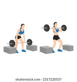 Woman doing barbell cleans or box cleans or block cleans exercise. Flat vector illustration isolated on white background