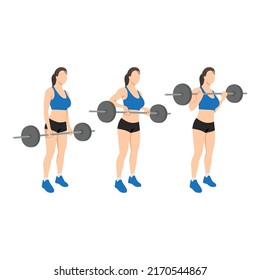 Woman doing Barbell drag bicep curls exercise. 21 bicep exercise. 7 Steps.Arm workout. Flat vector illustration of a fitness man isolated on white background