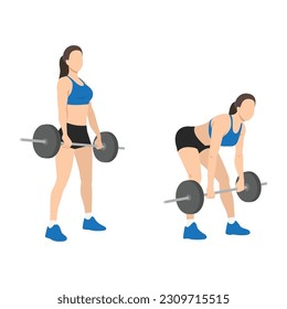 Woman doing Barbell romanian deadlifts exercise. Flat vector illustration isolated on white background