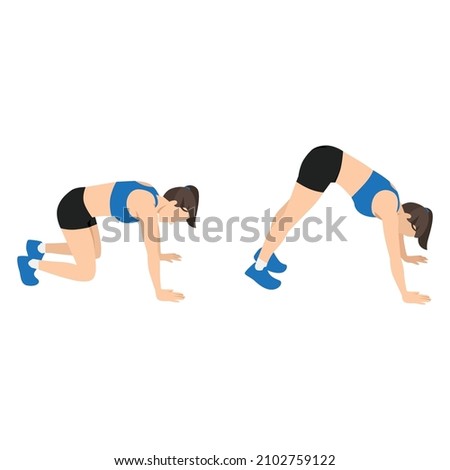 Woman doing Bear squat exercise flat vector illustration isolated on white background