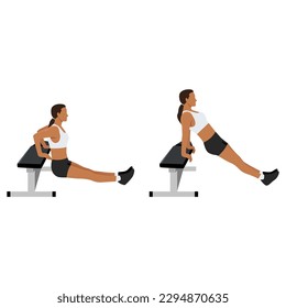 Woman doing bench tricep dips exercise. Flat vector illustration isolated on white background