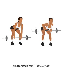 Woman doing Bent over barbell rows exercise. Flat vector illustration isolated on white background