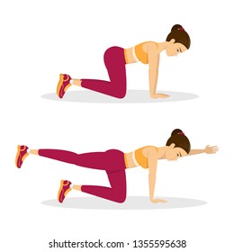 Woman doing bird dog exercise. Exercise for balance, back and ABS. Fitness and healthy lifestyle. Back pain reduce. Training for muscle. Isolated vector illustration in cartoon style