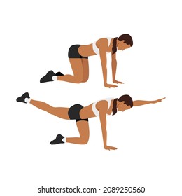 Woman doing bird dogs. alternating reach and kickbacks exercise flat vector illustration isolated on white background