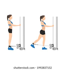 Woman doing Cable hip extensions exercise. Flat vector illustration isolated on white background