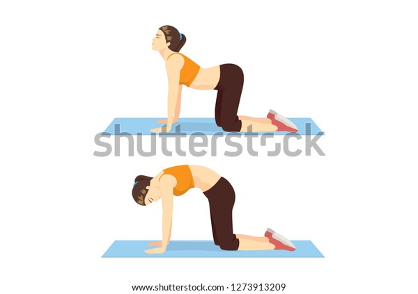 Woman Doing Cat Cow Workout 2 Stock Vector Royalty Free 1273913209