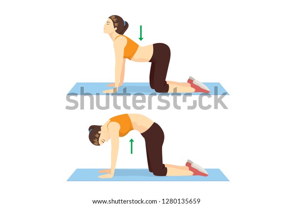 Woman doing Cat Cow Workout in 2 step to stretch the back and promote spinal flexibility. Illustration about exercise guide.