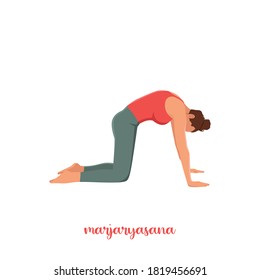 Woman doing Cat yoga pose. Marjaryasana. Flat vector illustration isolated on white background