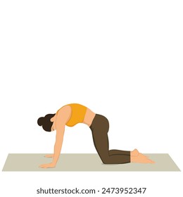 Woman doing Cat yoga pose. Marjaryasana. Flat vector illustration isolated on white background.