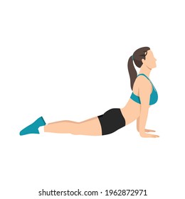 Woman doing Cobra abdominal stretch. Old horse stretch. Abdominals exercise. Flat vector illustration isolated on white background.Editable file with layers