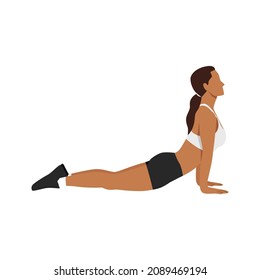 Woman doing Cobra abdominal stretch. Old horse stretch. Abdominals exercise. Flat vector illustration isolated on white background.Editable file with layers