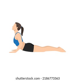 Woman Doing Cobra Bhujangasana Yoga Pose Stock Vector (Royalty Free ...