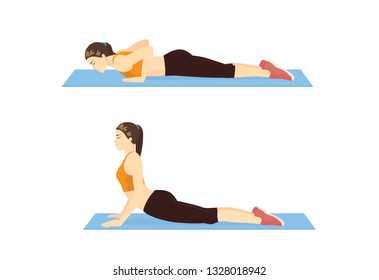 Woman doing Cobra Stretch Exercise on blue mat in 2 step. Illustration about Yoga pose relieve to lower Back Pain.