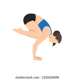 Woman doing Crow pose bakasana exercise. Flat vector illustration isolated on white background