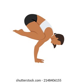 Woman doing Crow pose bakasana exercise. Flat vector illustration isolated on white background