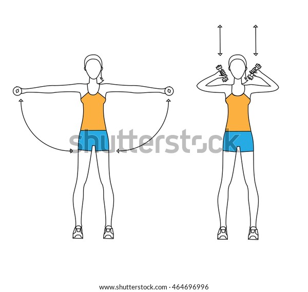 Woman Doing Curl Arm Exercises Dumbbells Stock Vector (Royalty Free ...