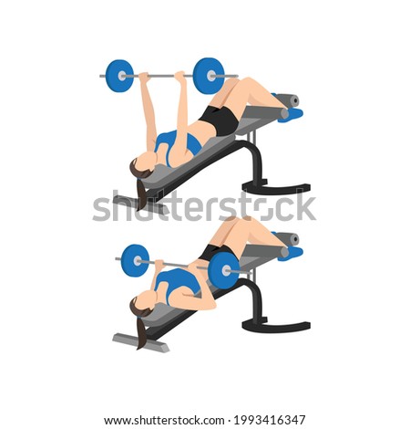 Woman doing Decline barbell bench press exercise. Flat vector illustration isolated on white background
