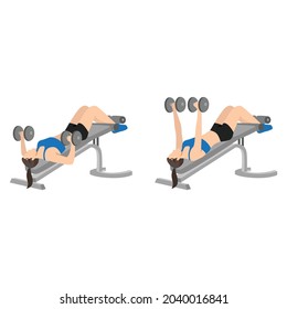 Woman doing Decline bench dumbbell press exercise. Flat vector illustration isolated on white background