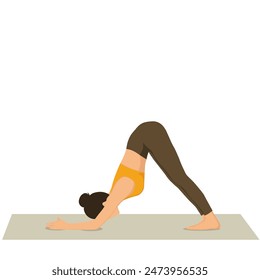 Woman doing Dolphin pose ardha pincha mayurasana exercise. Flat vector illustration isolated on white background