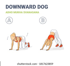 Woman Doing Downward Dog Home Workout Exercise Guide. Colorful Concept of Female Yoga Adho Mukha Svanasana. Girl in Sportswear Top, Sneakers, and Leggings Does Downward-facing Dog Fitness Pose.