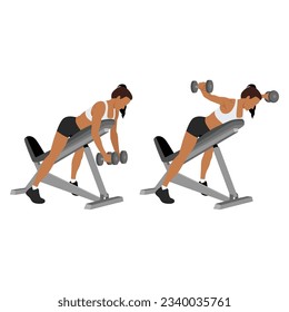 Woman doing Dumbbell bent over chest supported reverse flyes. Flat vector illustration isolated on white background