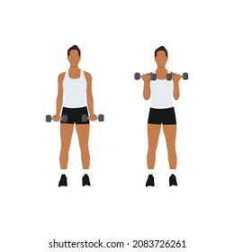 Woman doing dumbbell bicep curls. Flat vector illustration isolated on different layers. Workout character