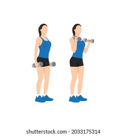 Woman doing dumbbell bicep hammer curls. Flat vector illustration isolated on different layer. Workout character