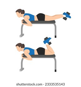 Mujer haciendo ejercicio de Dumbbell Hamstring Curl on Bench. Ilustración vectorial plana aislada en fondo blanco