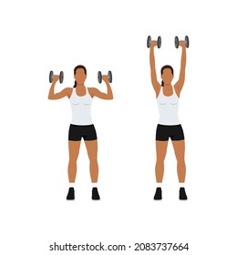Woman doing Dumbbell overhead shoulder press exercise. Flat vector illustration isolated on white background