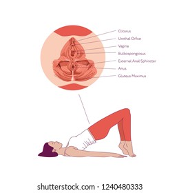 Woman Doing Exercises To Strengthen The Muscles Of The Vagina And Pelvic Floor Muscles. Kegel Exercises. Vector Illustration Isolated On White Background. Anatomy Scheme Of Pelvic Floor Muscles.