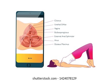Woman Doing Exercises To Strengthen The Muscles Of The Vagina And Pelvic Floor Muscles. Kegel Exercises. Vector Illustration Of Mobile App. Anatomy Scheme Of Pelvic Floor Muscles On The Screen.
