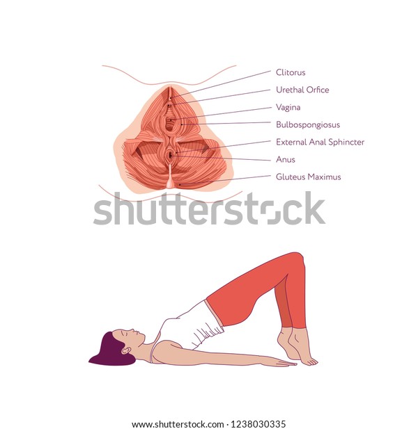 Woman Doing Exercises Strengthen Muscles Vagina Stock Vector