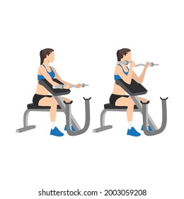 Woman doing Ez bar preacher curls  exercise. Flat vector illustration isolated on white background