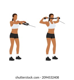 Woman doing Face pull. rear felt pull exercise. Flat vector illustration isolated on white background