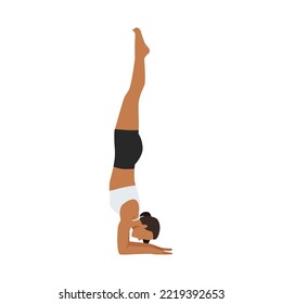 Woman doing Feathered Peacock Pose, Forearm Stand. Practice Pincha Mayurasana. Flat vector illustration isolated on white background