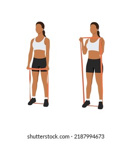 Woman doing Hammer grip curls with long resistance band exercise. Flat vector illustration isolated on white background