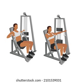 Woman doing Hammer strength machine. Seated chest press exercise. Flat vector illustration isolated on white background. Workout character