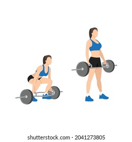 Woman doing Hex trap bar. Cage deadlifts. Squats exercise. Flat vector illustration isolated on white background