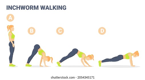 Woman Doing Inchworm Walking Exercise Fitness Home Workout Guidance Illustration. Downward Walking Sports Exercise for Girl Lower Abs and Core Training. Caterpillar Walk Exercise Vector concept.