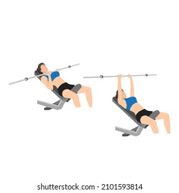 Woman doing Incline Close grip barbell bench press exercise. Flat vector illustration isolated on white background. Workout character