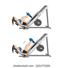 Woman doing leg press exercise on machine. Flat vector illustration isolated on white background