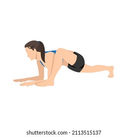 Woman doing Lizard pose utthan pristhasana exercise. Flat vector illustration isolated on white background