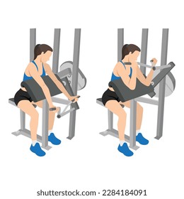 Mujer haciendo predicador bici de máquina o rizos de concentración, ejercitando bíceps de brazo. aislado sobre fondo blanco y capas. Carácter de entrenamiento. Ilustración vectorial plana aislada en fondo blanco